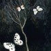 Night Butterflies (print)