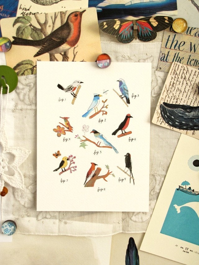 Daniel's birds