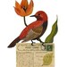 Bird No. 6