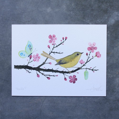 Warbler