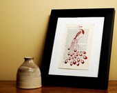 Peacock Book Print