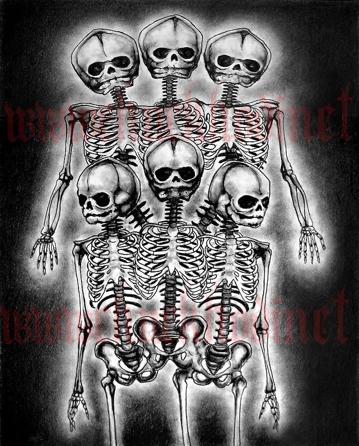 Art Of Skeletons