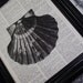 Clam Shell, Shell, Sea Shell, NauticaI, Marine Life, Have Another Sea Shell