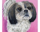 Shih Tzu print