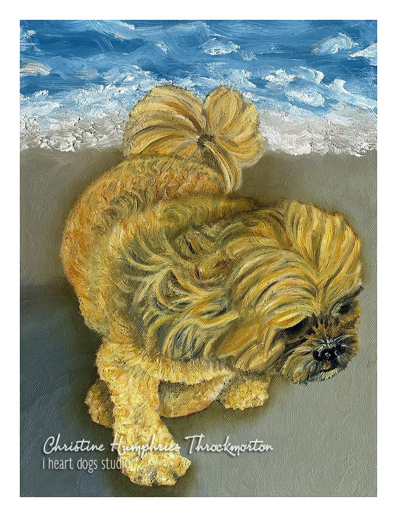 Lhasa Apso (beach) print