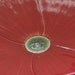 Ceramic Poppy Serving Bowl for Table, Dining, Entertaining