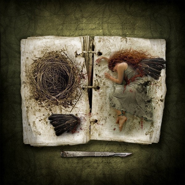Art Print, The Wing Collector, 5x5 Inch Print