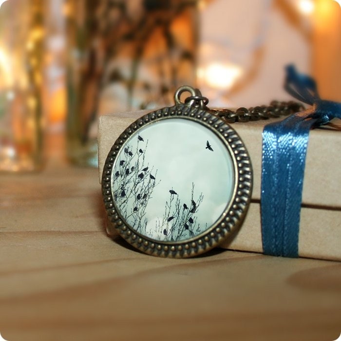 Flight, Bird Necklace, Photo Pendant, 18 Inch Chain, Antique Gold Brass