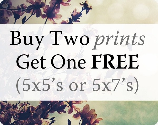 Small Prints: Choose Any 3 5x5 or 5x7