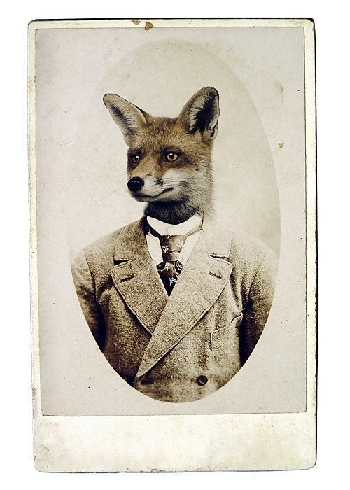 Young Mr. Fox, 12x18 Inch,  Fox Art, Fox Print