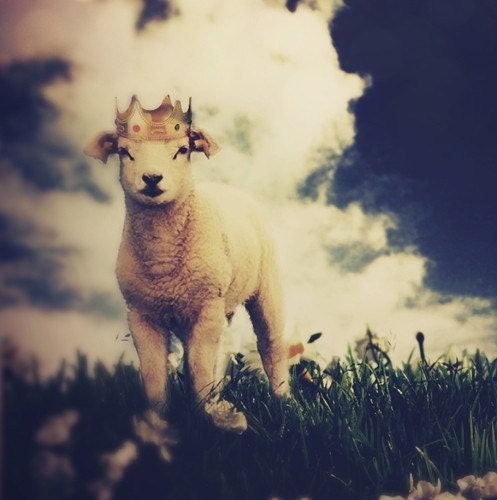 Lamb Art Print, The Little Lamb Prince, 5x7 Inch Print