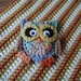 Hootie Crochet Pattern