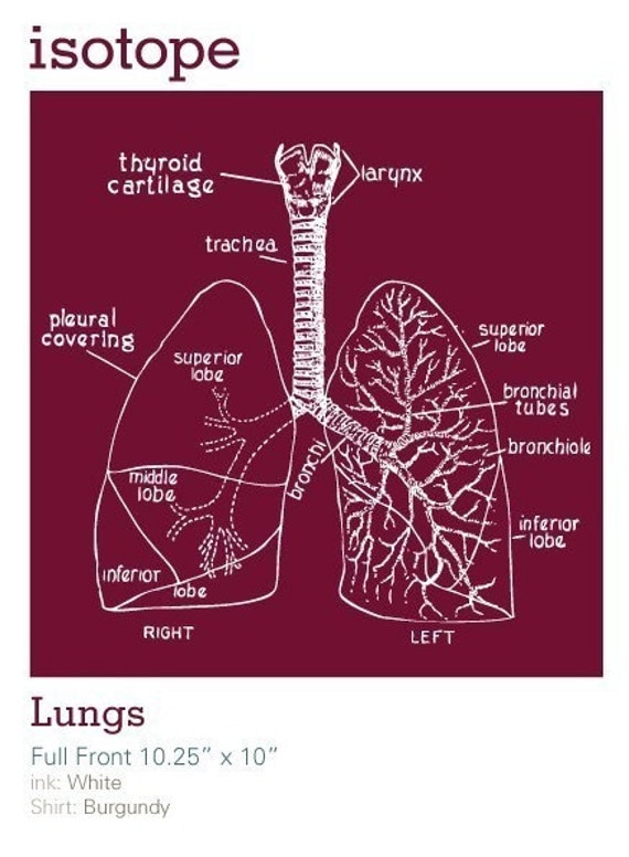 Lungs Anatomy Illustration Tshirt SIZES -S,M,L,XL