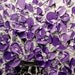 ORIGINAL Contemporary Purple Flowers Bouquet in Vase Thick Impasto Textured Oil Painting by Susanna