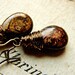 T H O U G H T S... Bronzite on brass earrings