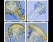 Dancing Jellies - Ceramic Coaster Set