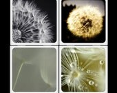 Wishes - Ceramic Coaster Set