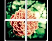 Old Tyme Rose - Ceramic Coaster Set