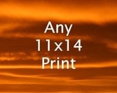 11x14 (or 12x12) Print - Your Choice of Fine Art Nature Photographs from Flanders Field Photography
