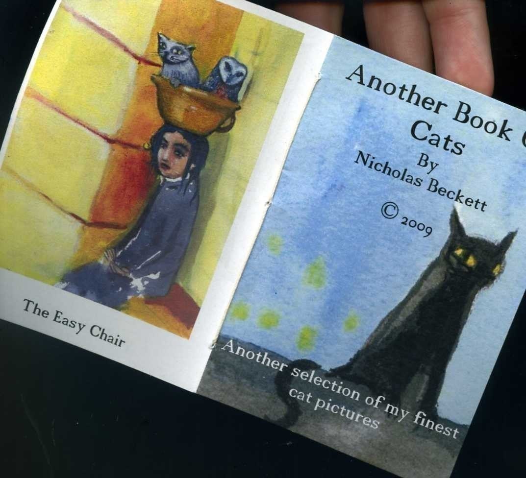 Another Book Of Cats - mini book / zine