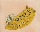 sea lemon original painting