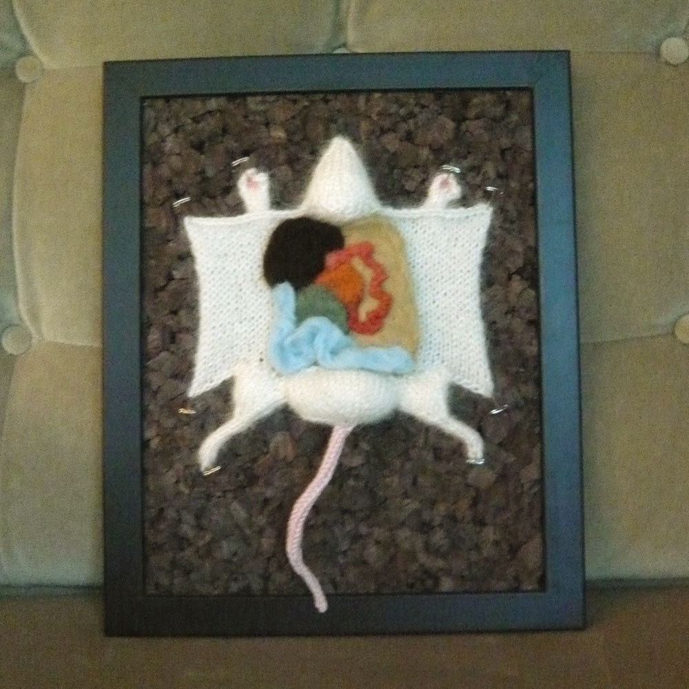 Lab Rat PDF knitting pattern