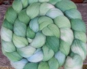 Shetland Roving (Top) Hand Painted Spinning or Felting Fibre 100g in subtle shades of green