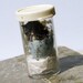 Sea Birth Relic