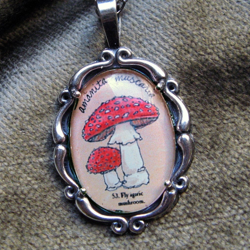 Mushroom Necklace - Natural History Illustrated Jewelry