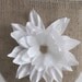 White Blooms.....on Burlap