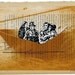 They Used This Boat Limited Edition Screen Print by Emma Kidd / book page all unique