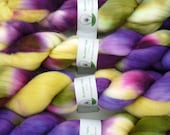Handpainted Superfine Merino Wool Roving in Tulip by Blarney Yarn