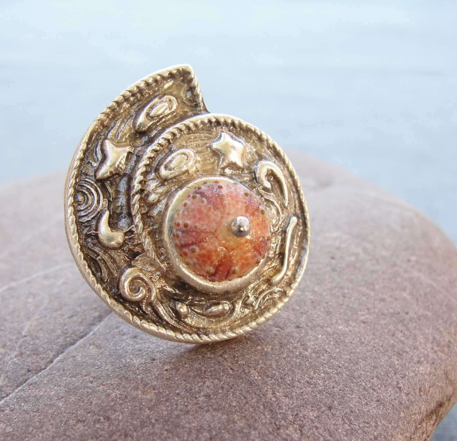 Sea Urchin Collection-A Shell in a Shell Ring