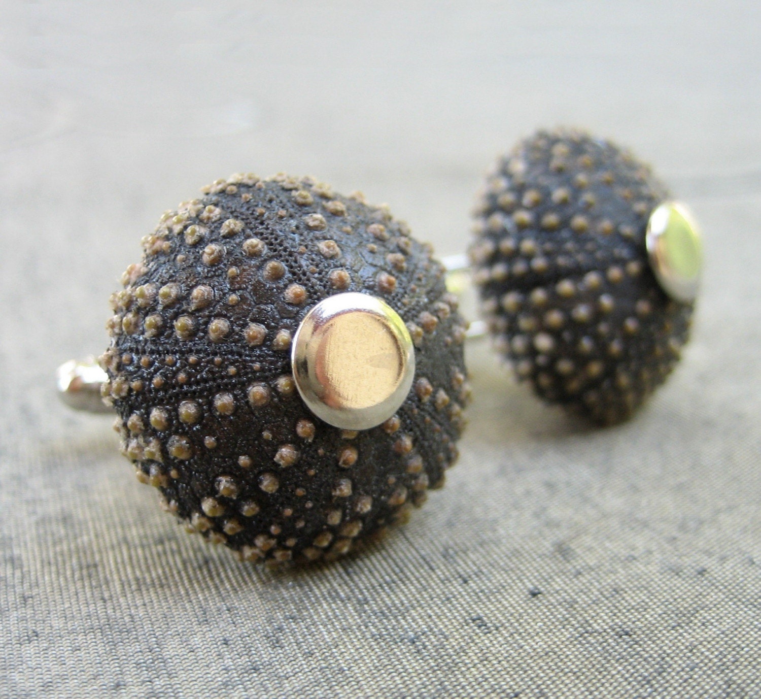 Sea Urchin Collection- Cool Brown Cufflinks