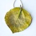 Green Aspen Leaf Pendant, Bridal, Wedding, Gifts under 20