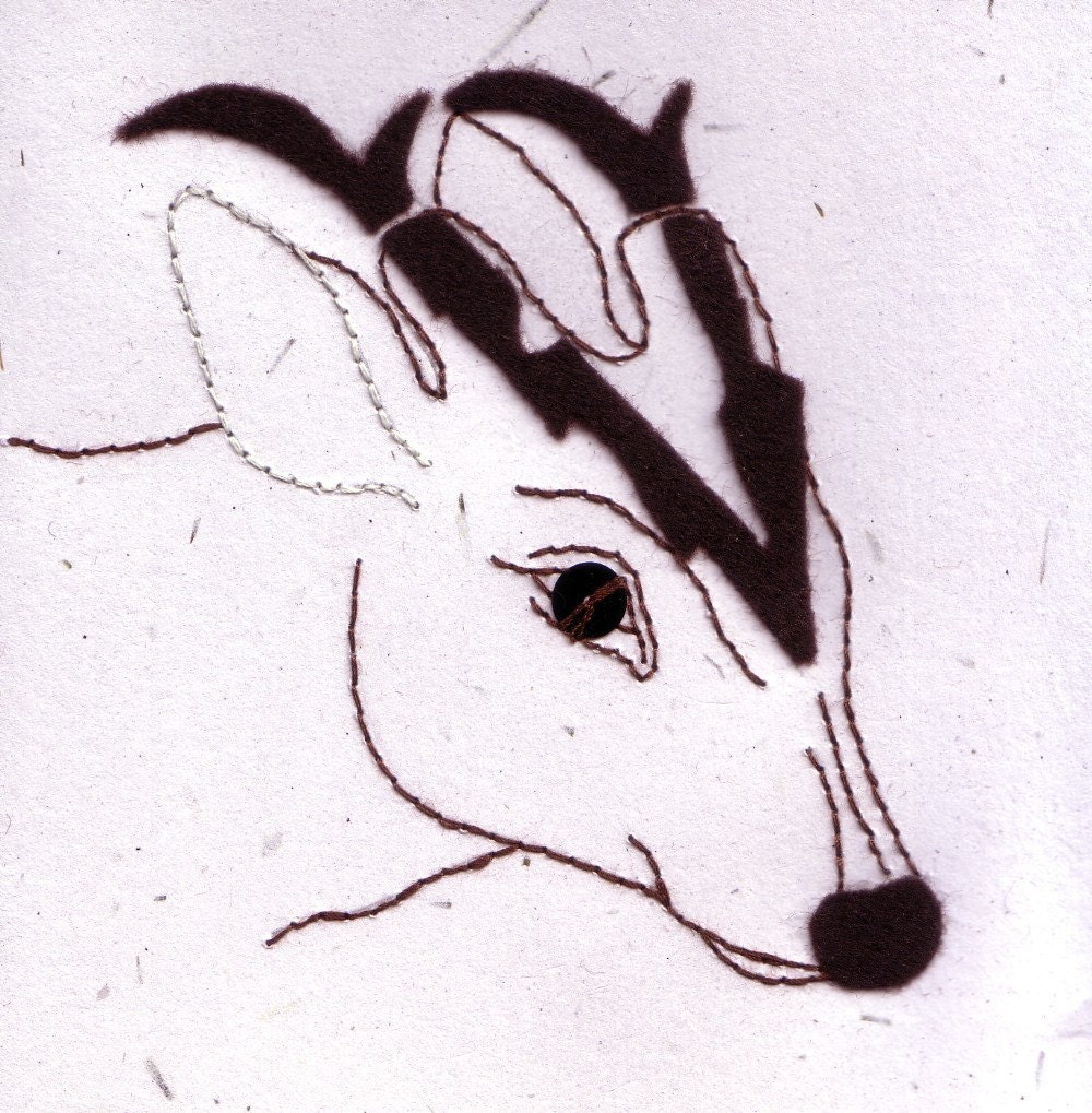 Muntjac Deer Card