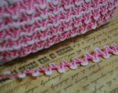 Strawberries and Cream Ric Rac Pom Pom Trim