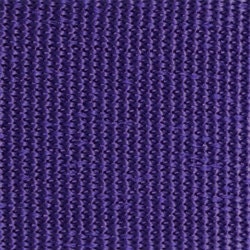 WEBBING - 2" Strap - Purple