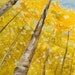 Gold tangerine Aspen Fall Forest tree art Modern Deco original XXL Abstract landscape OIL Painting by tim lam 63x30
