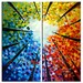 Abstract forest Looking up, Contemporary acrylic painting Autumn Natural Organic Art 48x48x1.6