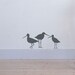 Wall decal Godwits