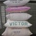 Rustic Decor - Vintage Grainsack Pillow - Wesco Chick Grains - Cincinnati Ohio - Orange and Black - Feed Sack Pillow - Rustic Decor