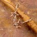 Lone Star Locking Earwires