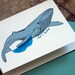 Let's Hump (back Whale)