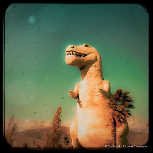 T-Rex - 8 x 8 Fine Art Photographic Print