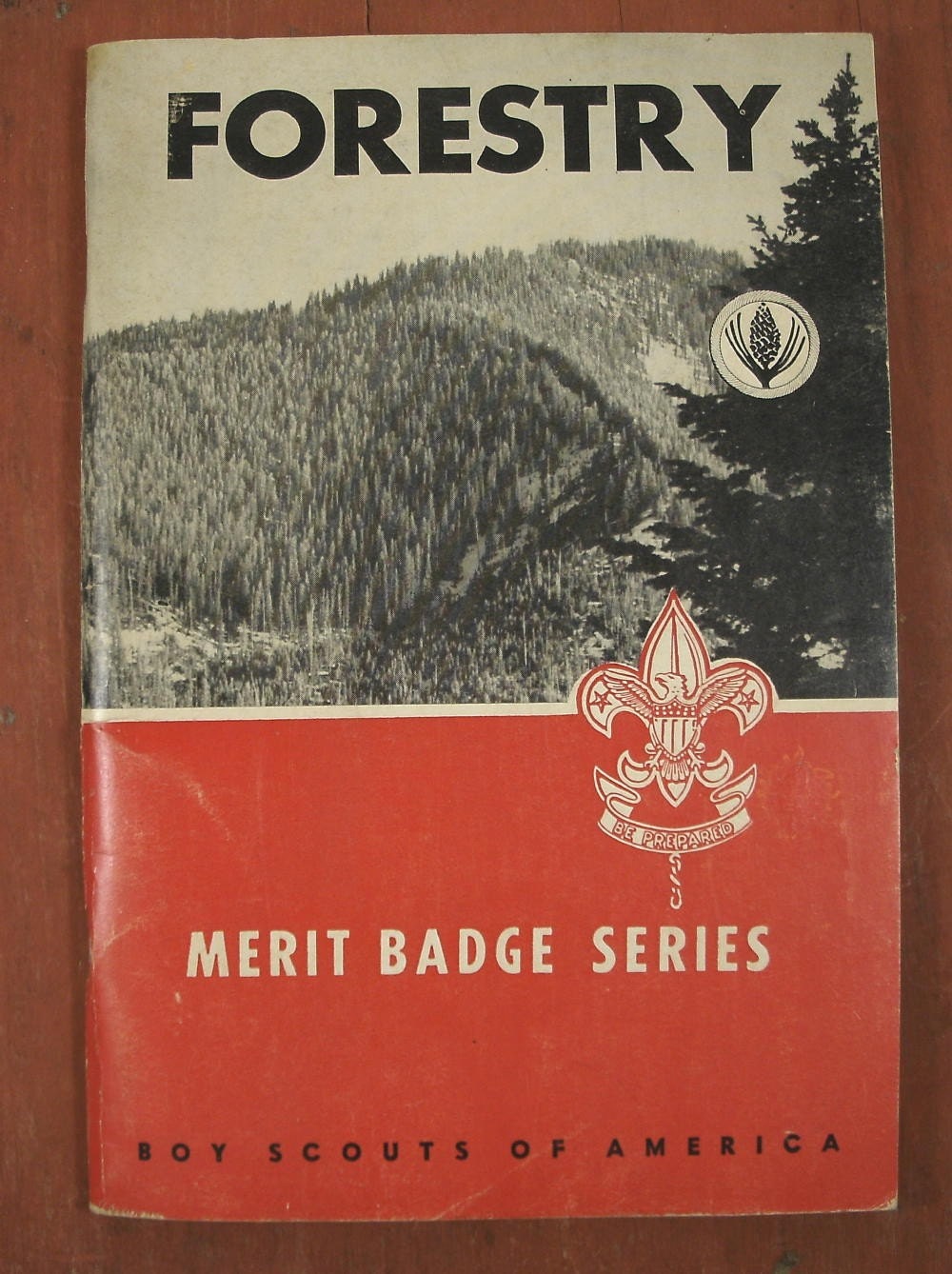 Fishing merit badge pamphlet online