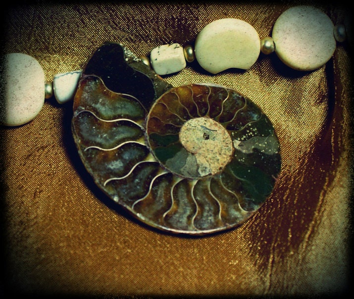 Ammonite fossil treasure necklace