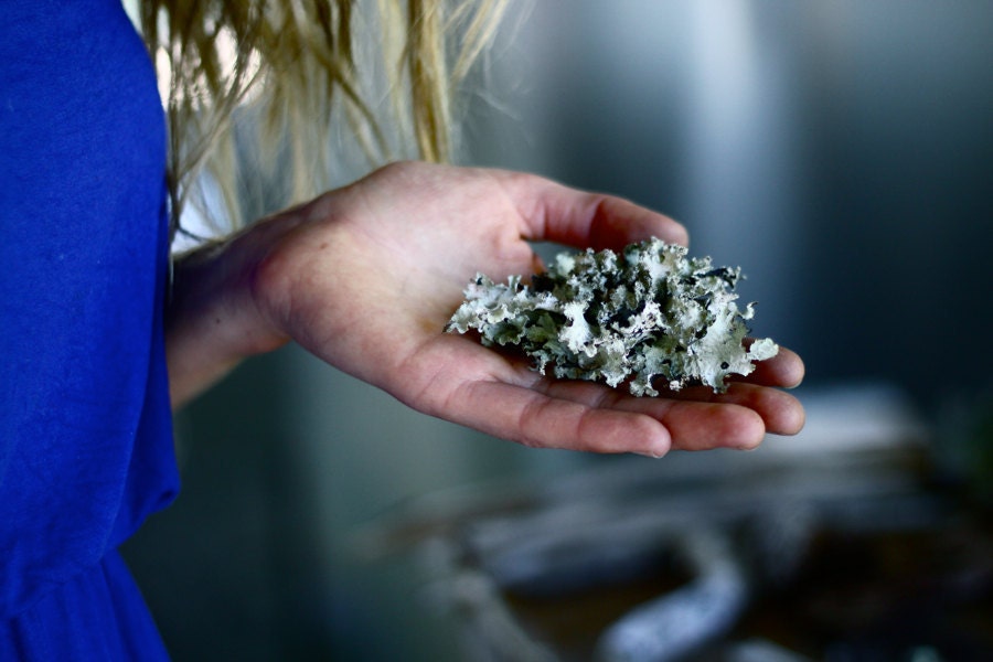 Lichen Necklace