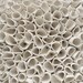 3-d textured wall tile, hydrangea