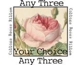 CHOOSE THREE Cabbage Roses Ribbon